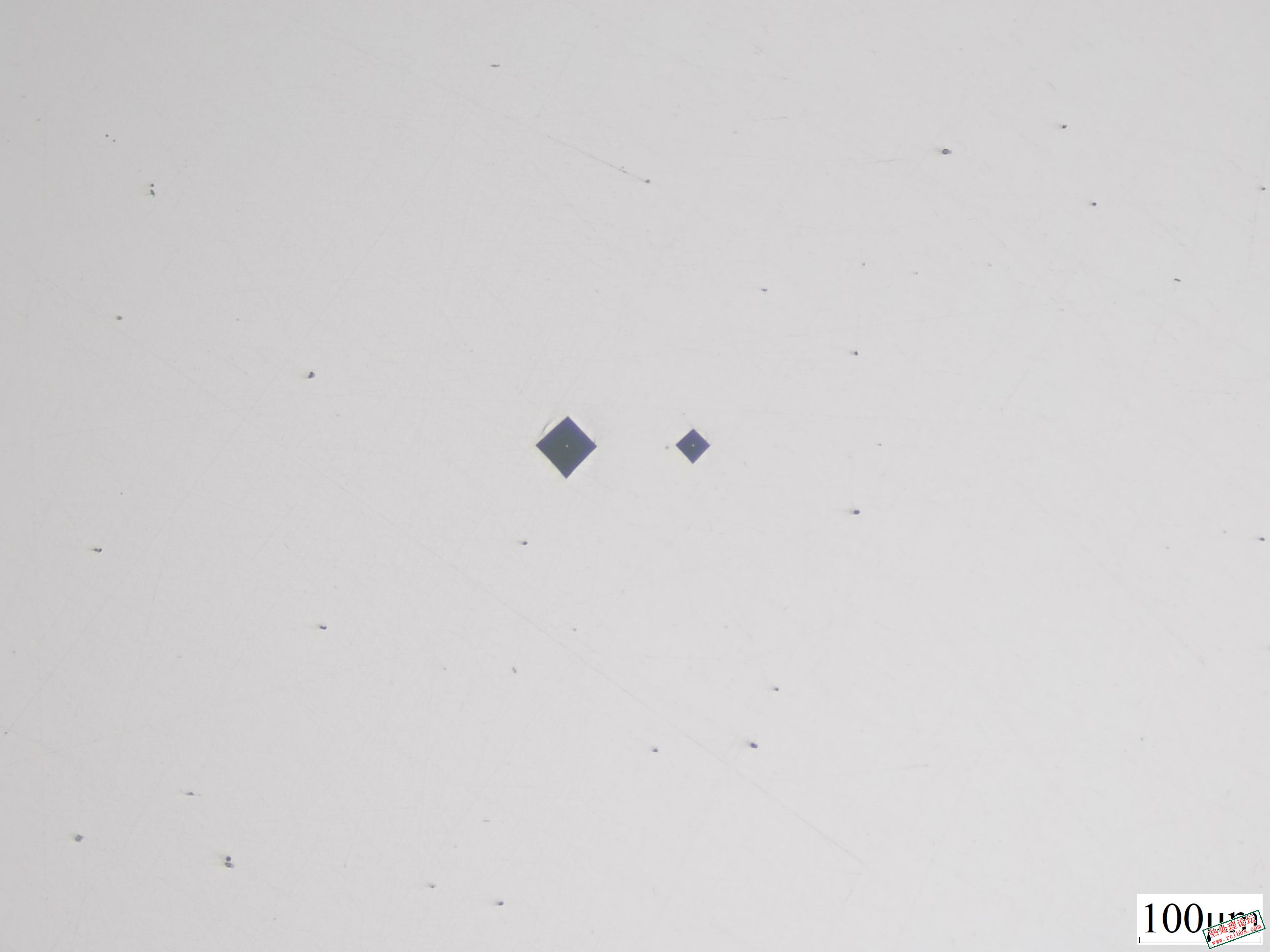 202211301.JPG