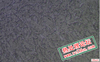 退火原料  感应980水淬+550在线回火
