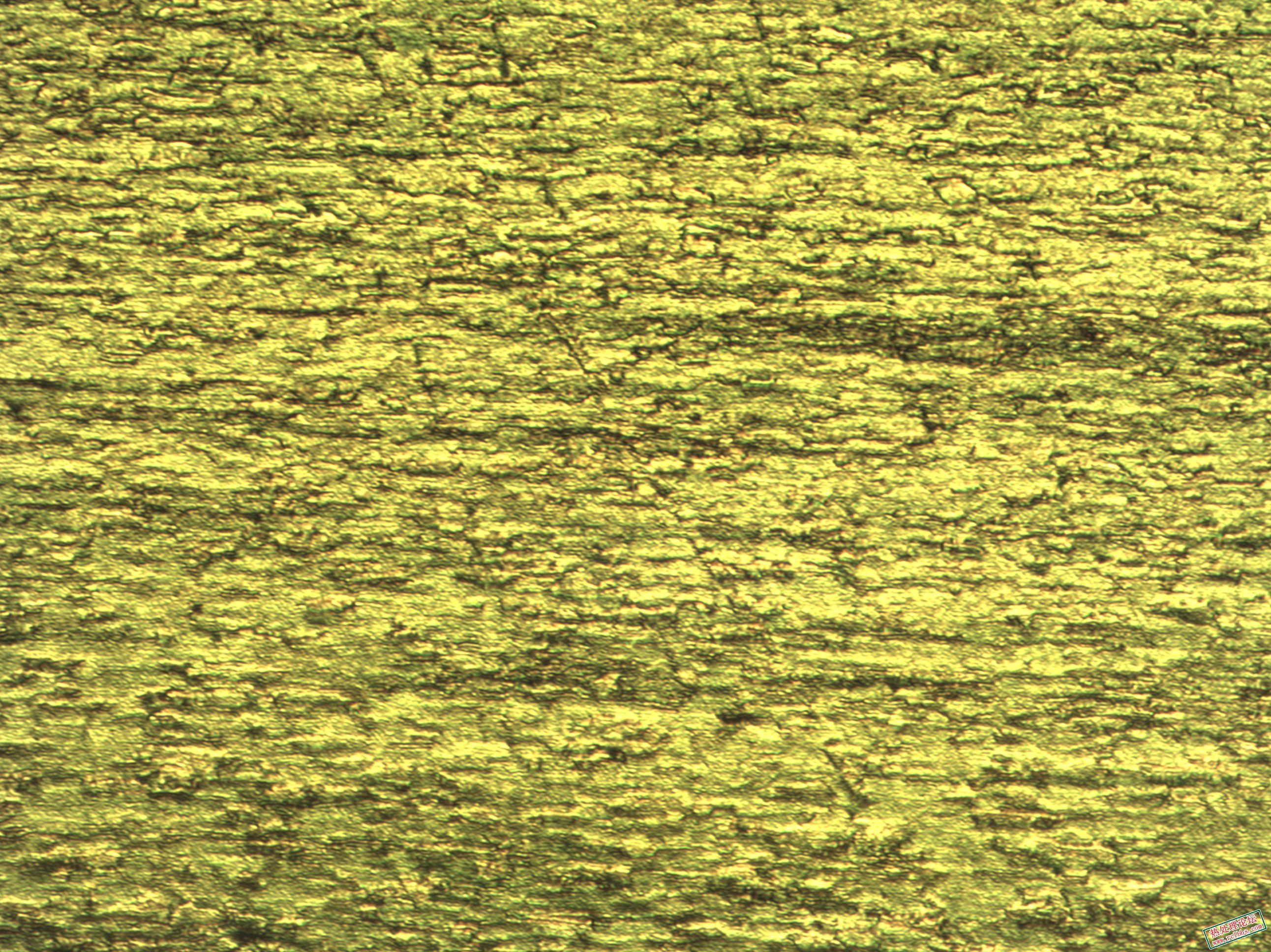20x(2)_1.jpg