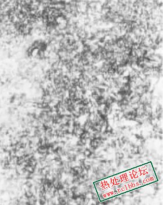 640 (4)_edit_382267283694630.jpg