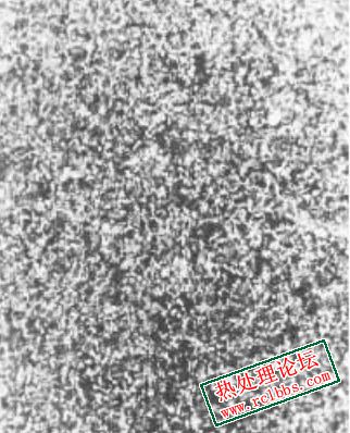 640 (2)_edit_382283493455016.jpg