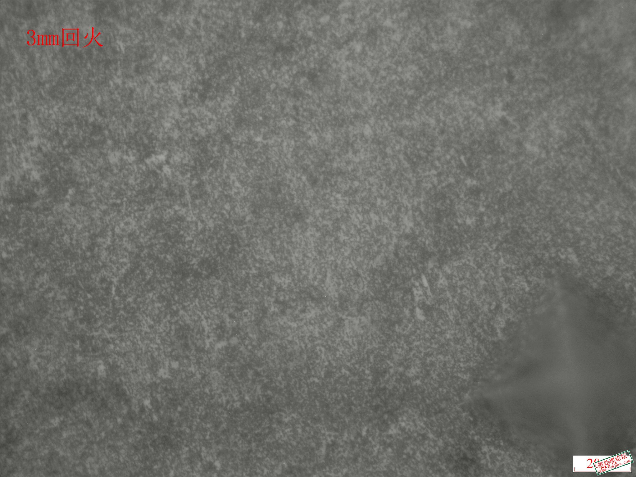 淬火后590回火