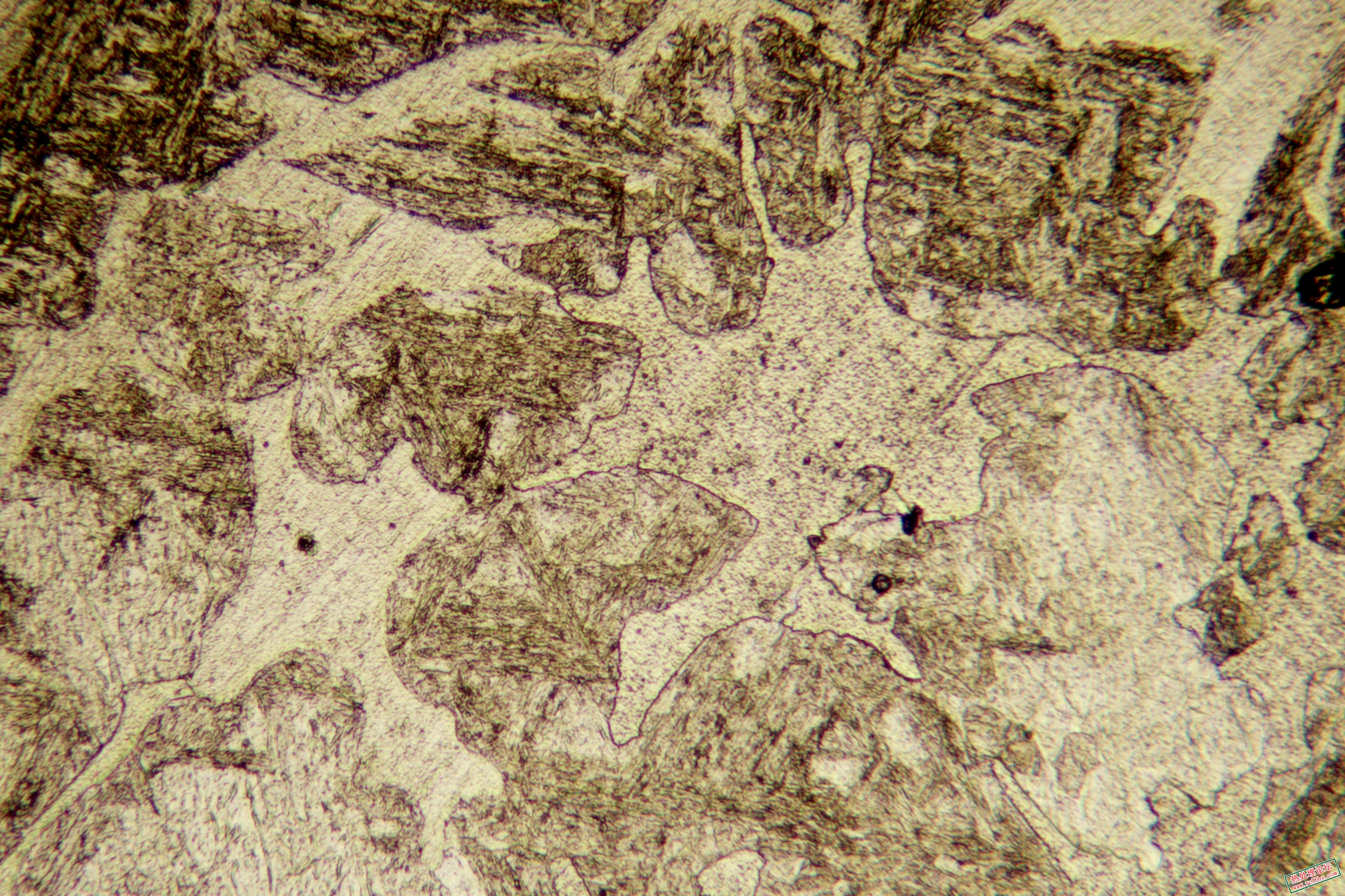 200f.jpg