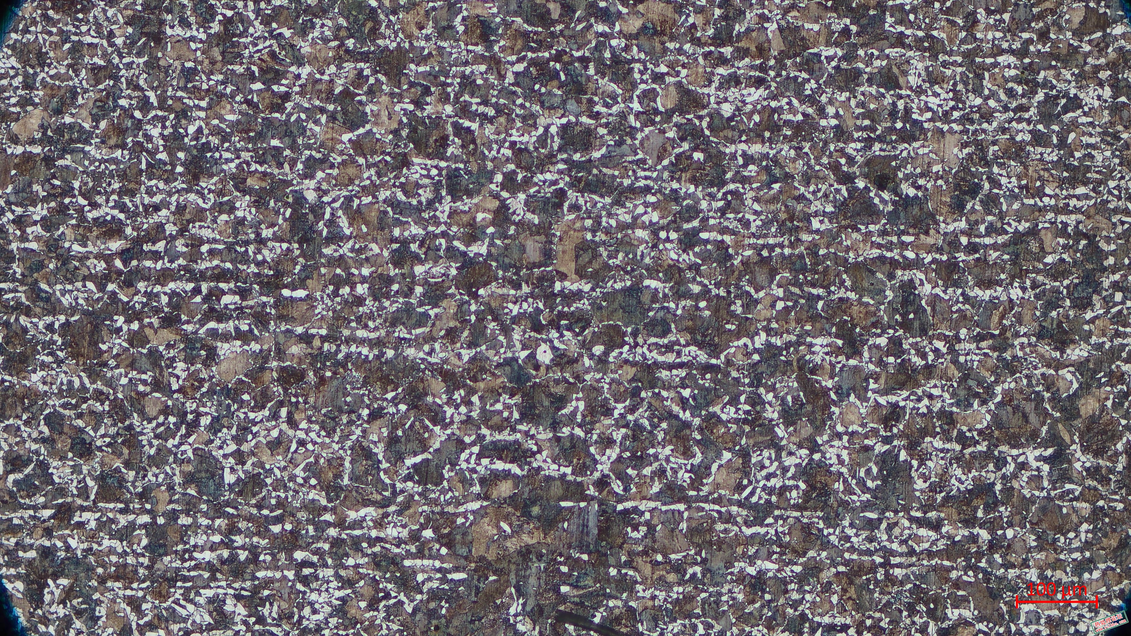 241106001-4.jpg