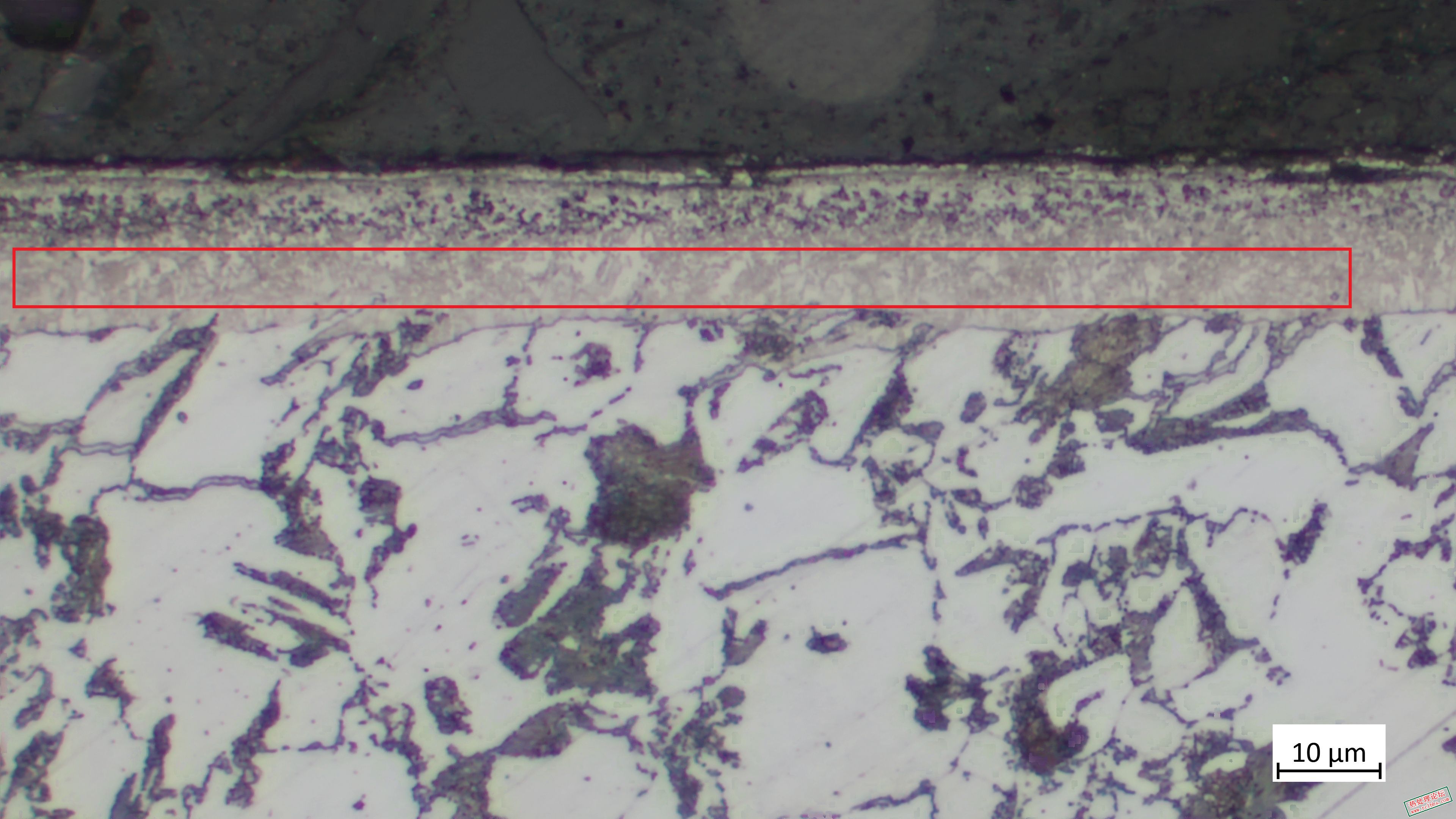 083956olerml8sdys4svvo.jpg