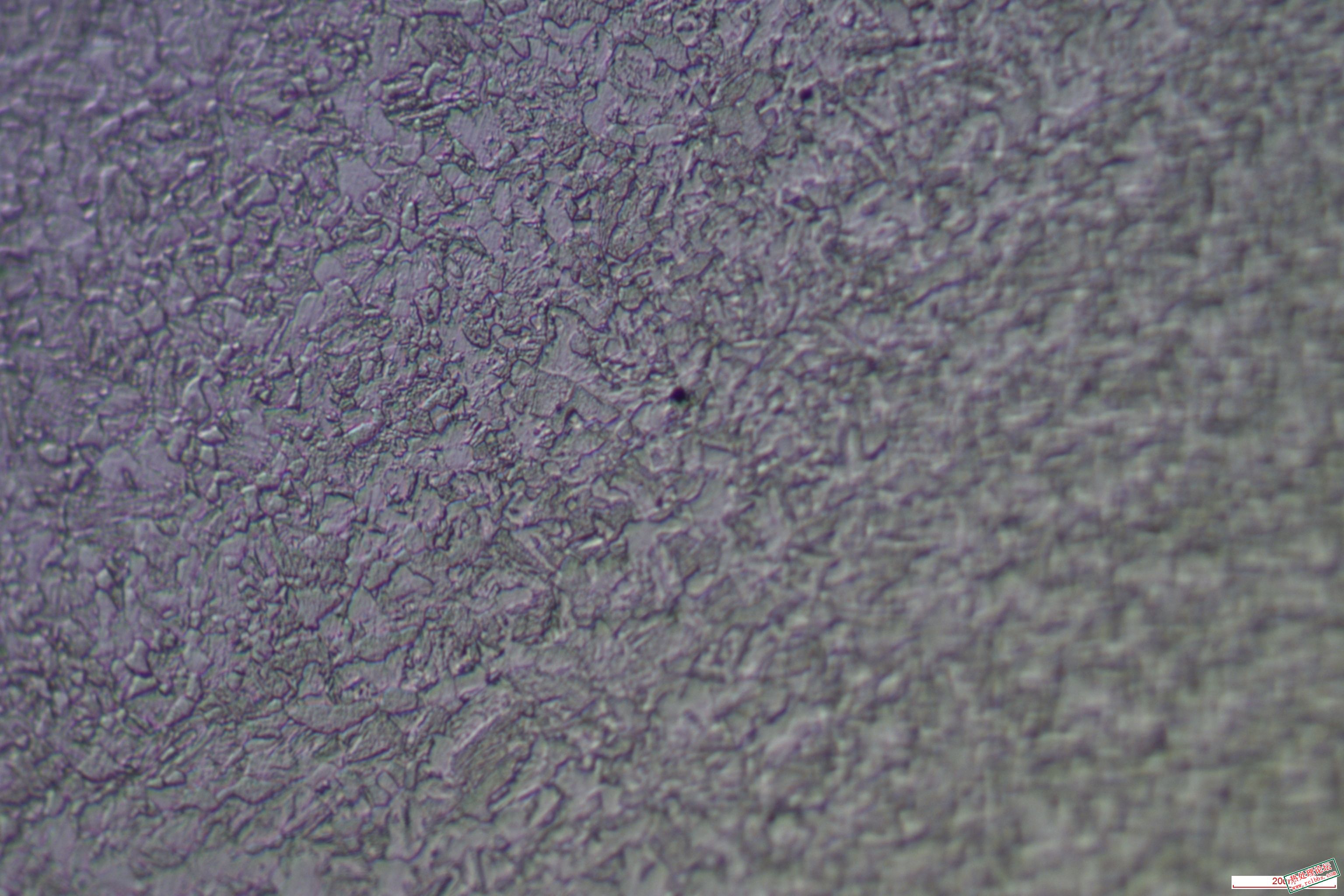 ResizedImage_2024-12-25_18-39-03_1.jpg