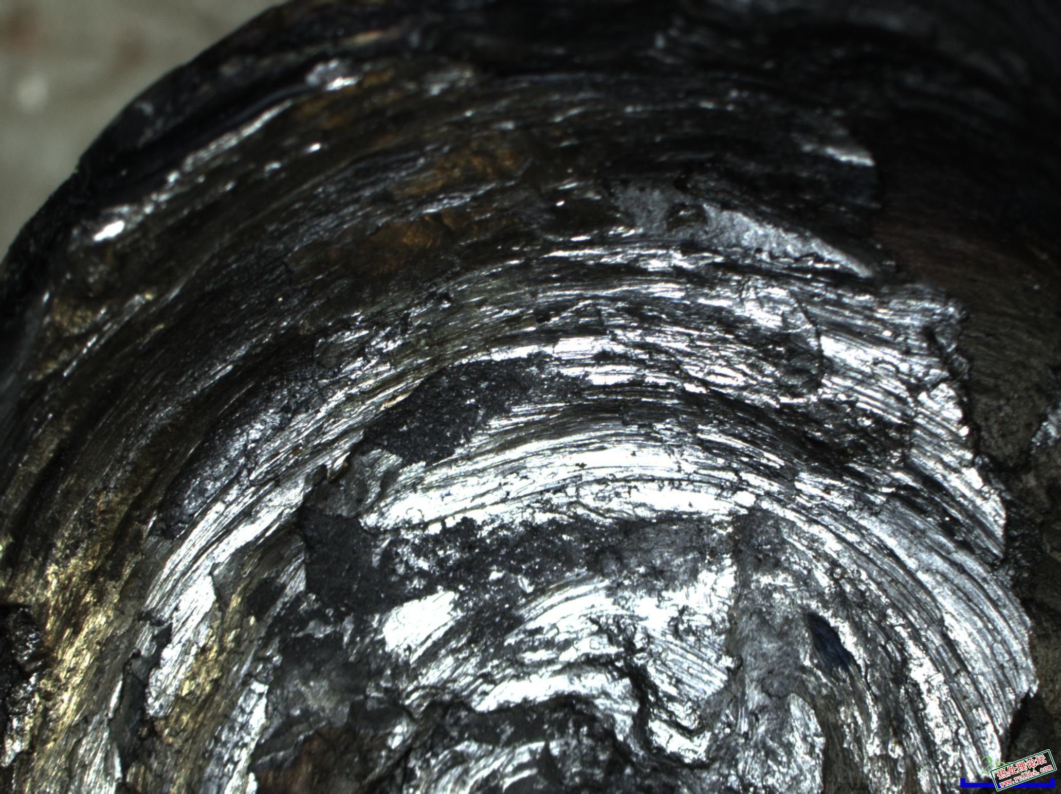 P002.jpg