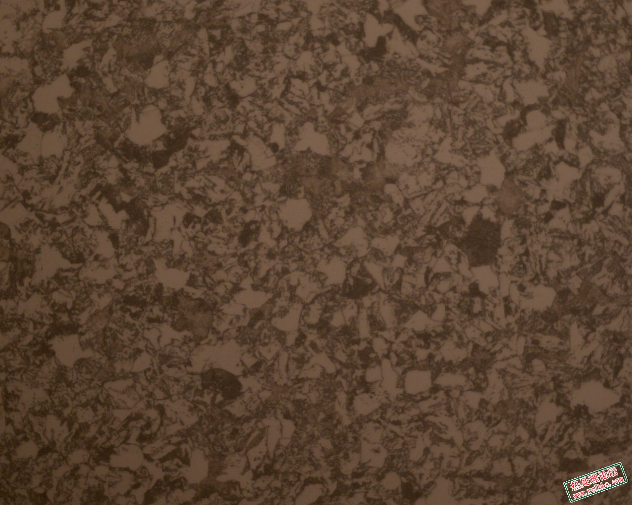500X-1