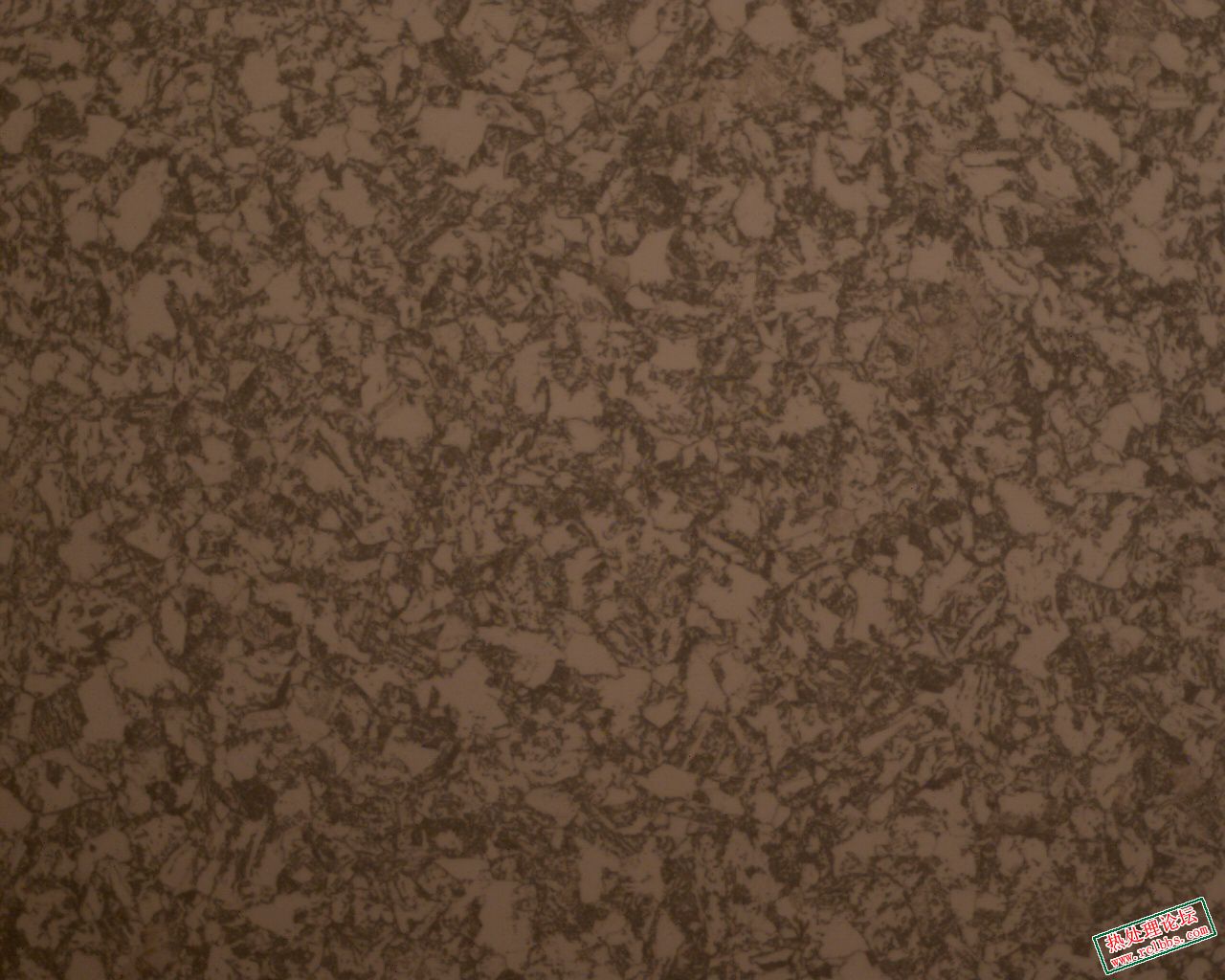 J432E10591 R241204086-11 14 435 500X.jpg