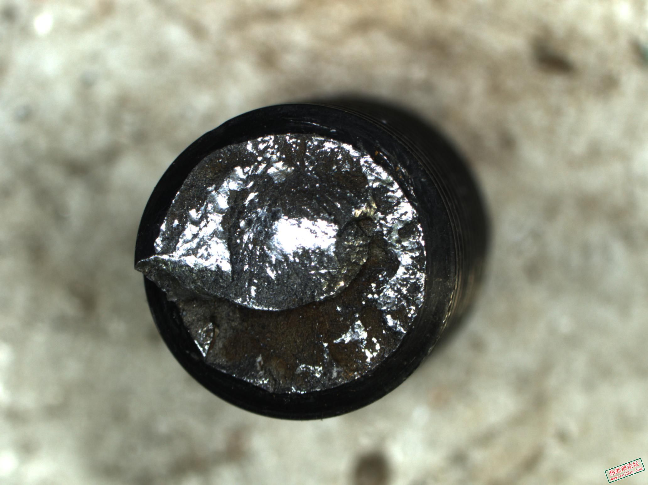 P003.jpg