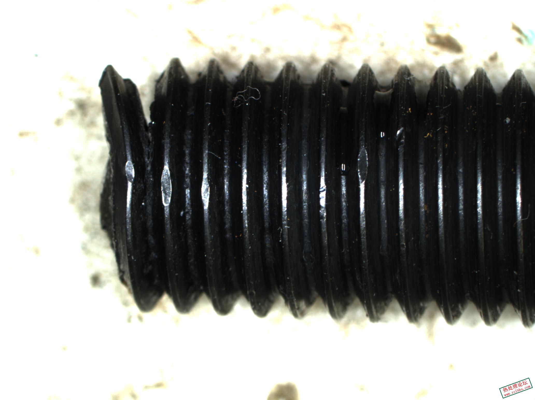 P002.jpg