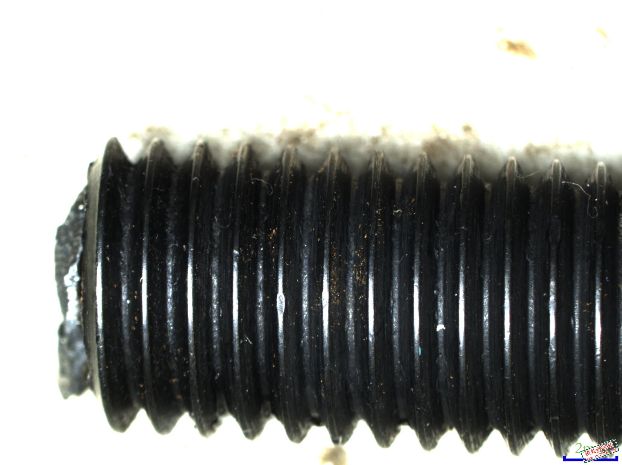 P004.jpg