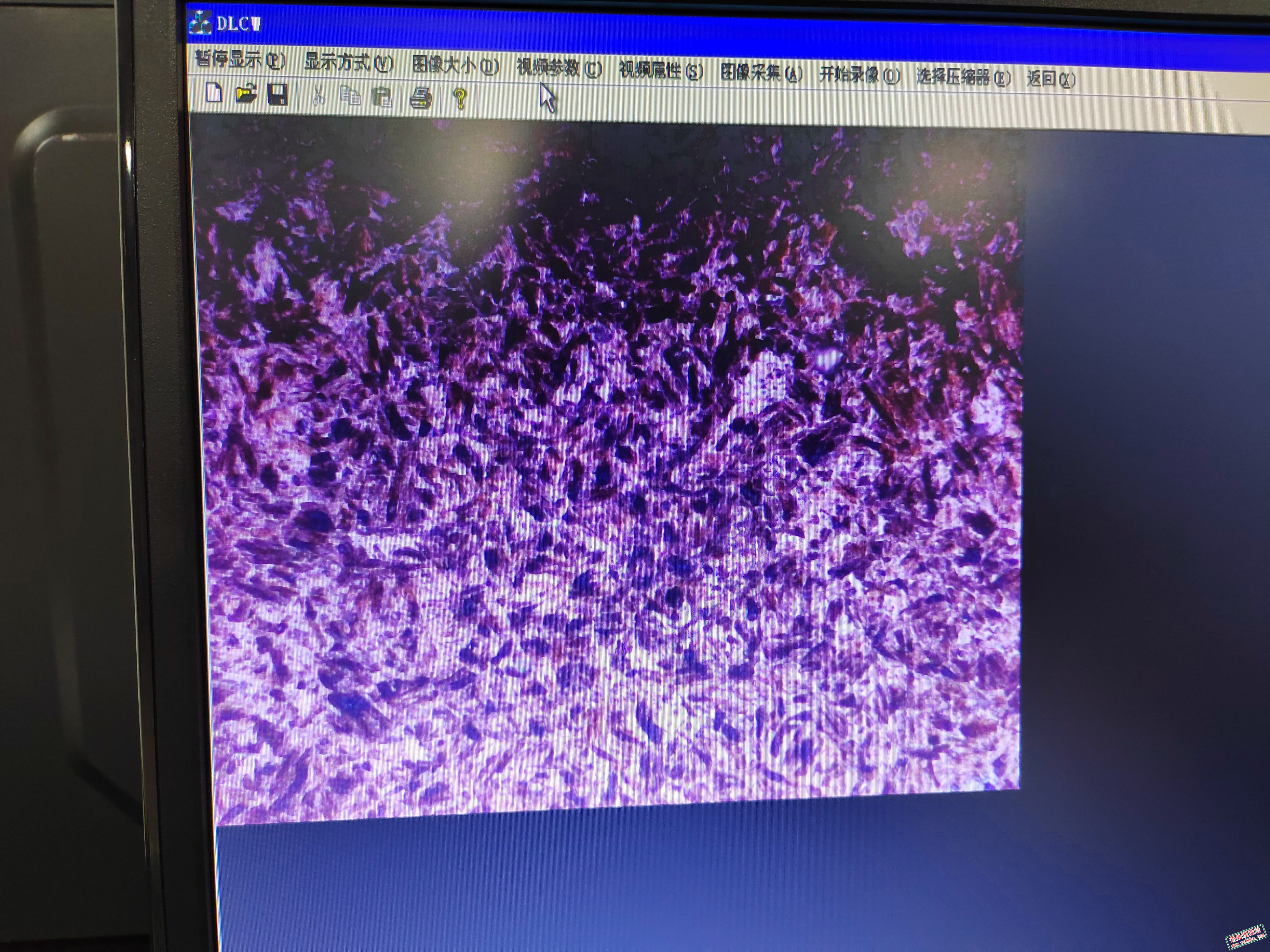 淬火500x