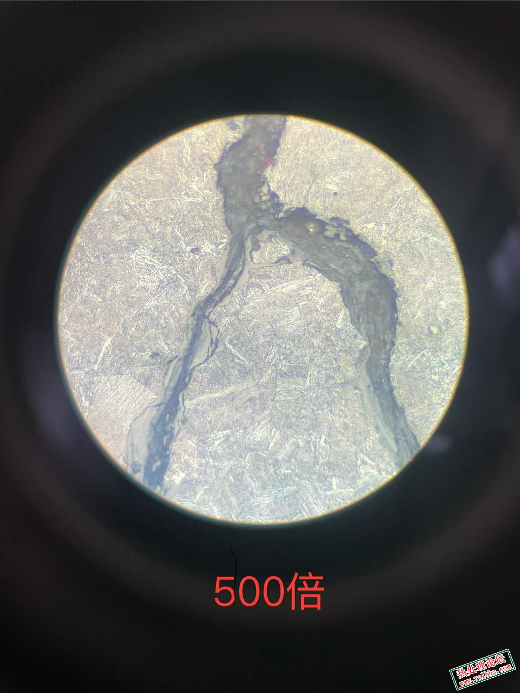500倍