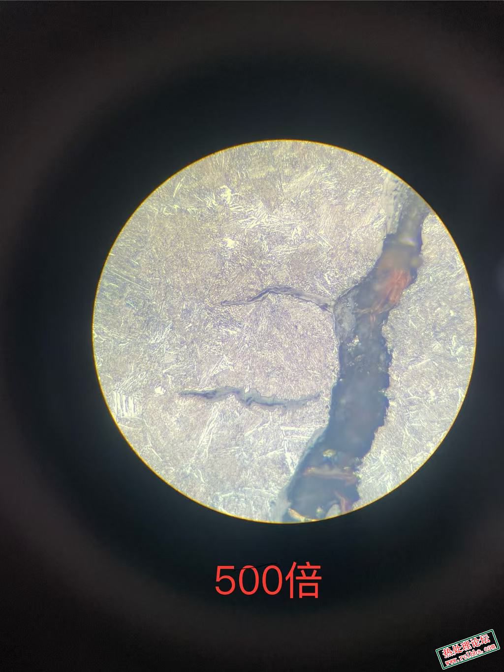 500倍