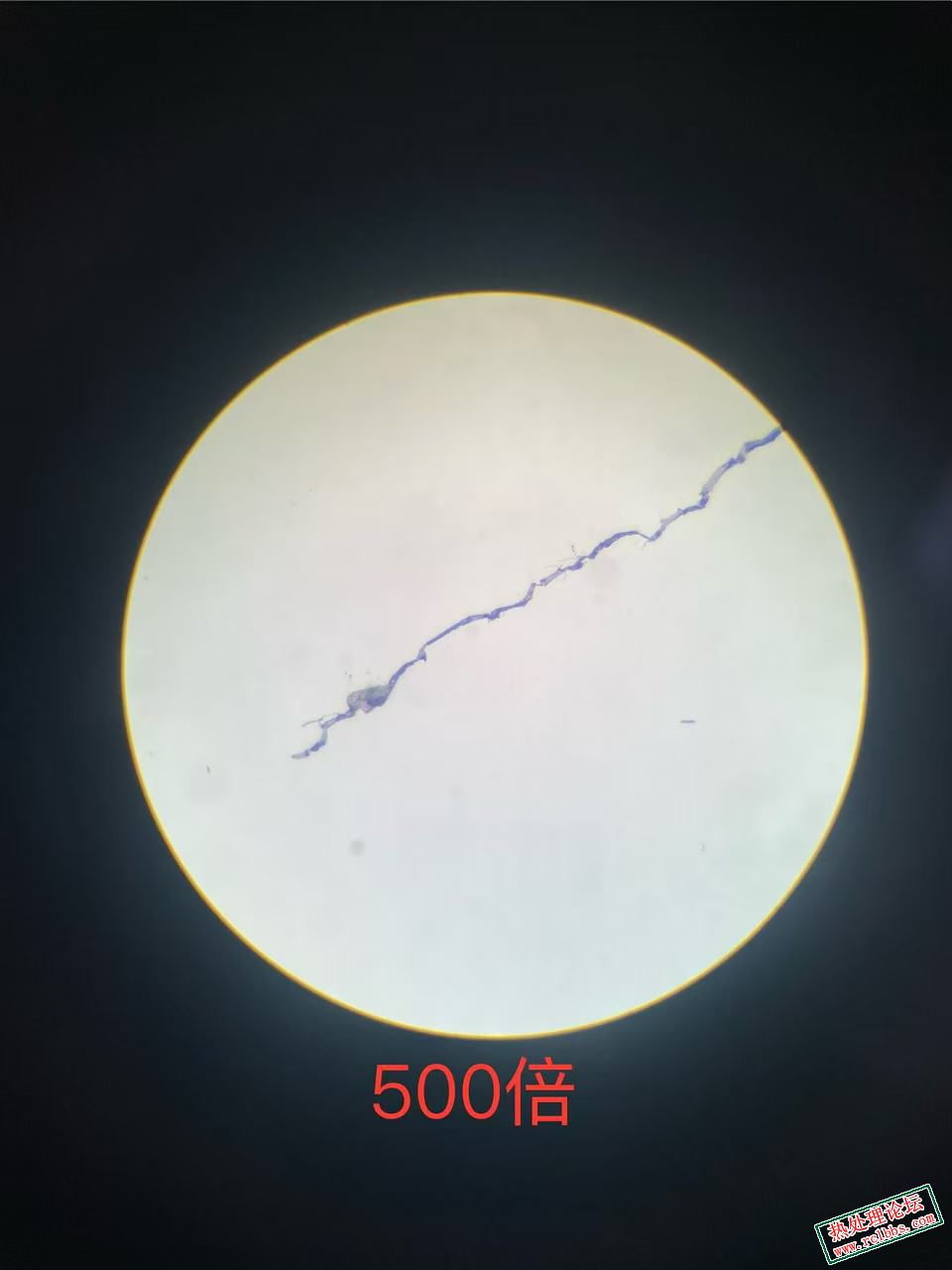 4acd39531fd9f45fe25187cc8ad7ab5.jpg