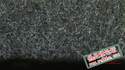 调质组织