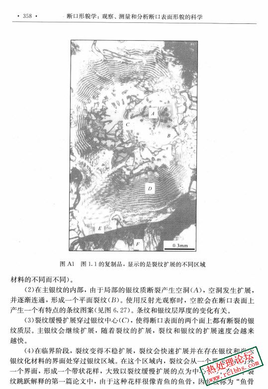 2025-04-09_16-27-27.jpg