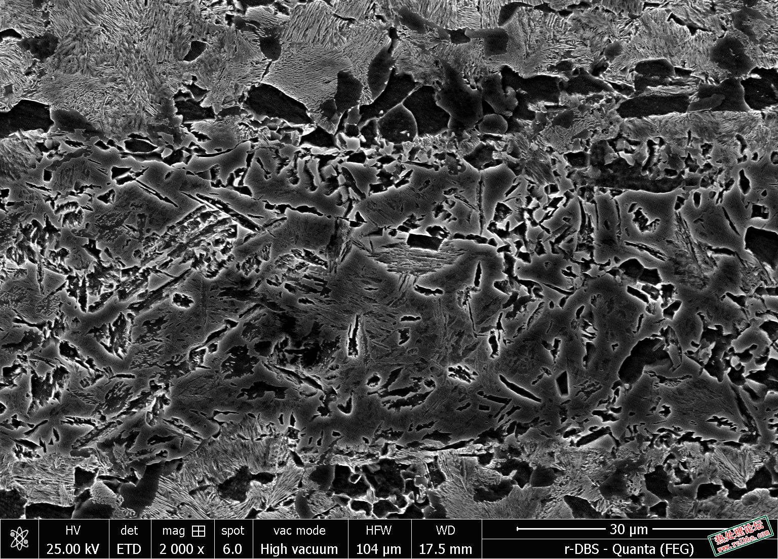 2000x.sem.jpg