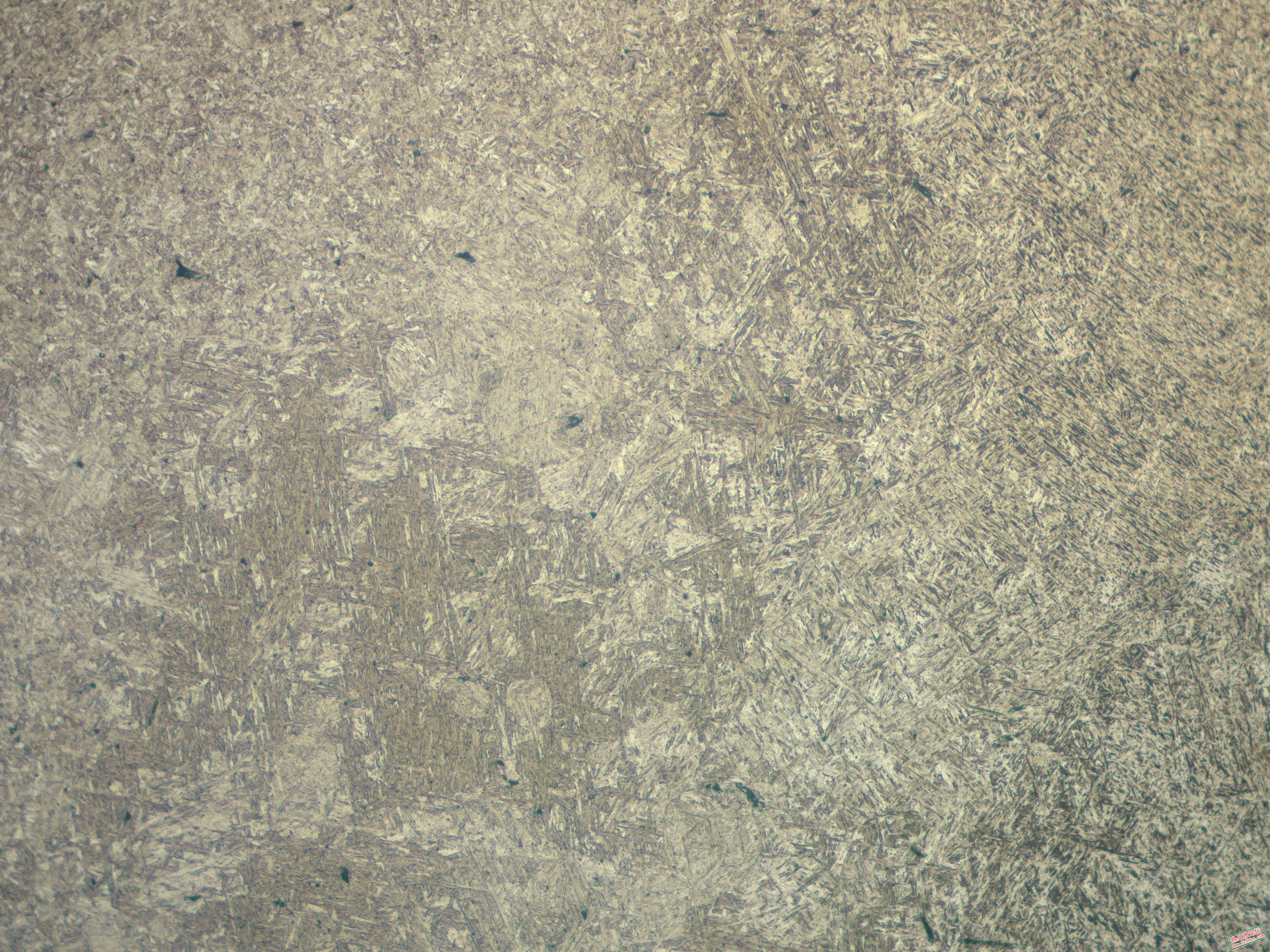 距离表面1.5mm100X