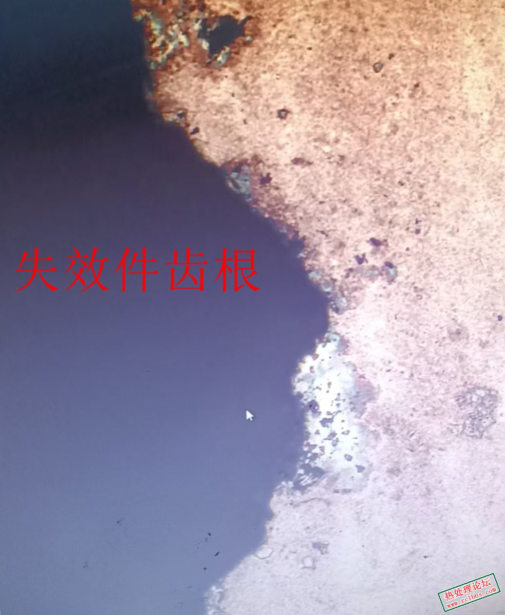 155139cf1356e4636c2ccd57caf7f79.jpg