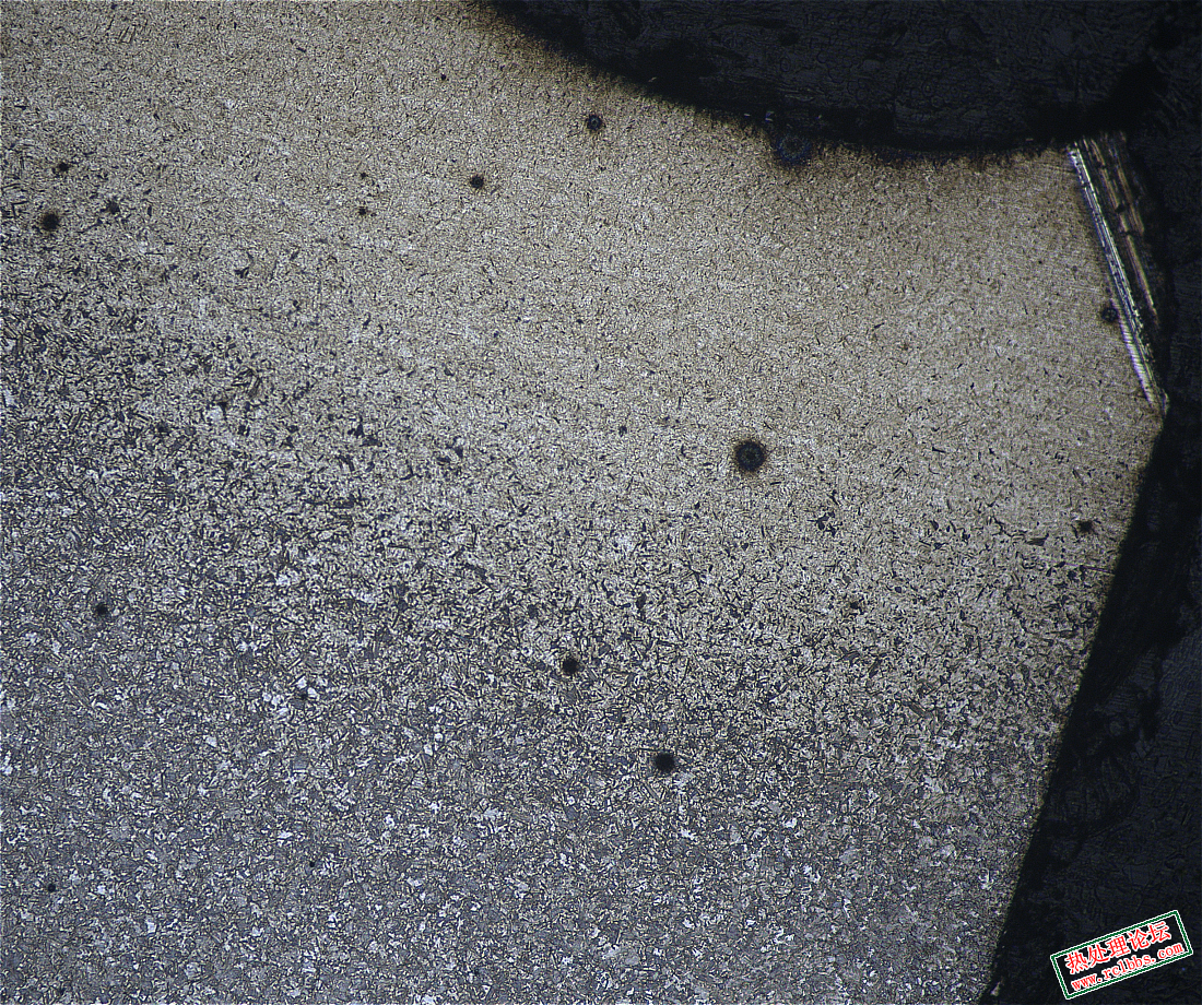 滚道100× 02.png