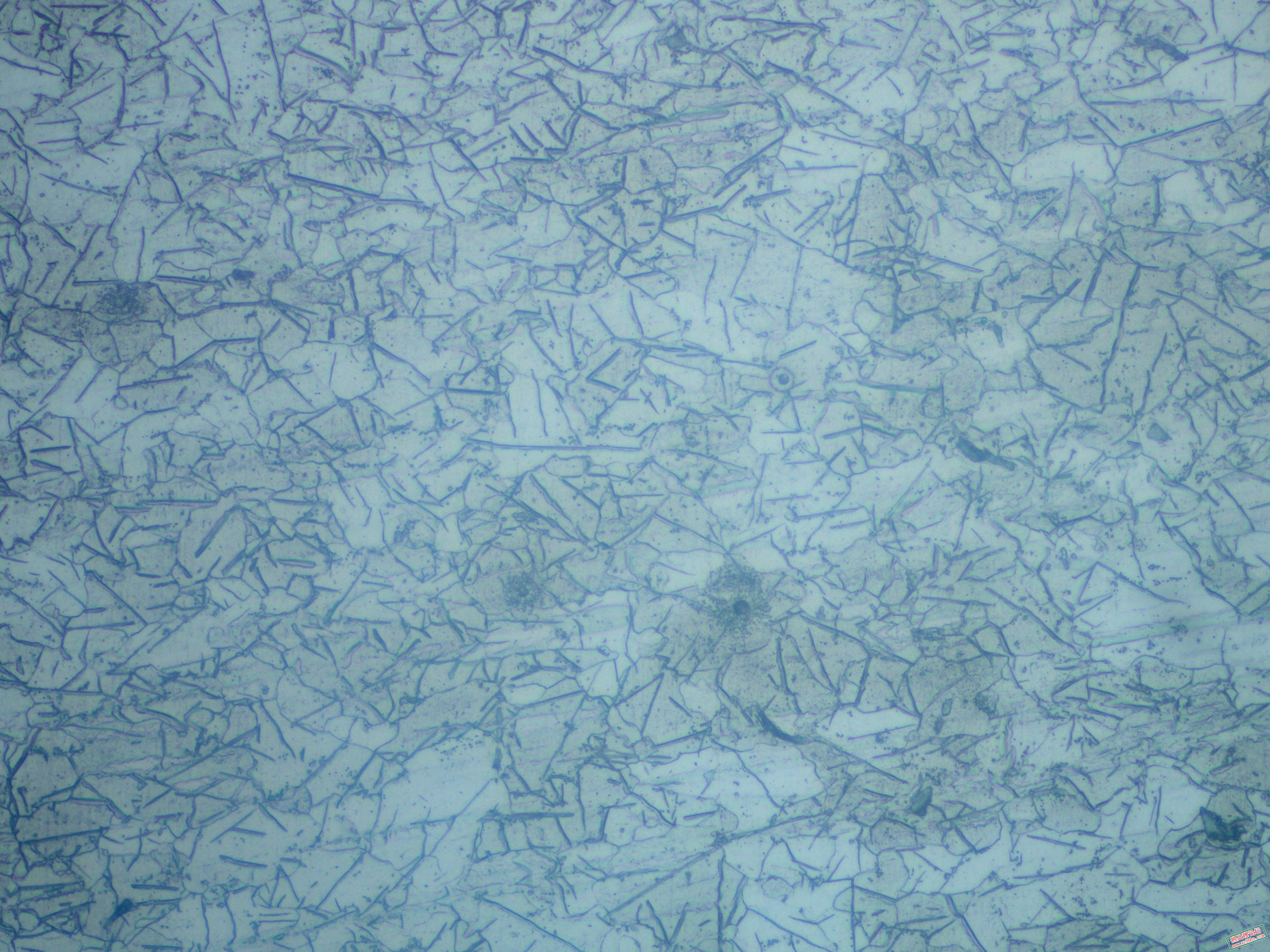 基体500X