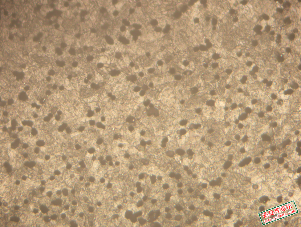 8245eda2648f1002c19c17d24a15db7.png