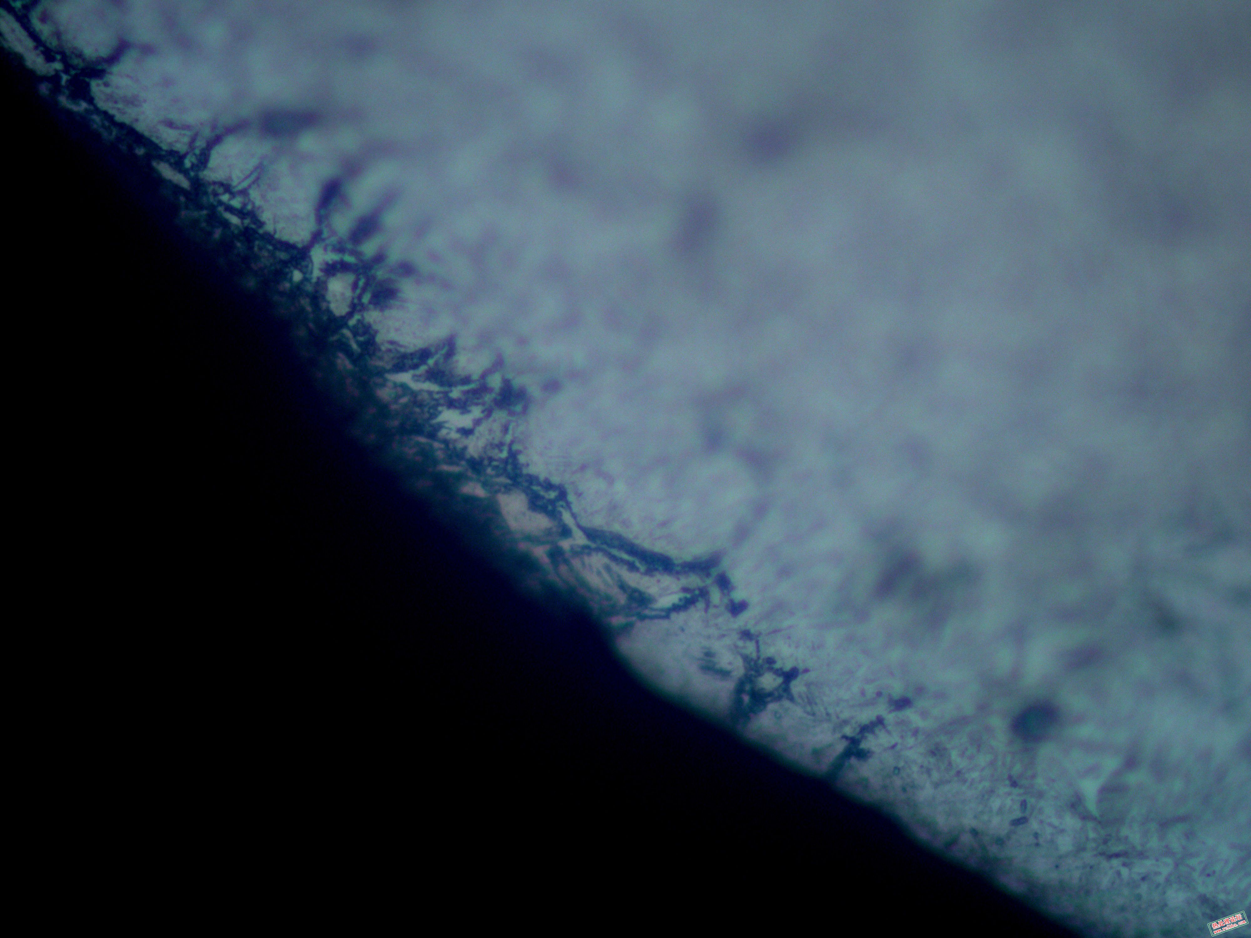 齿根组织浅腐蚀1000X