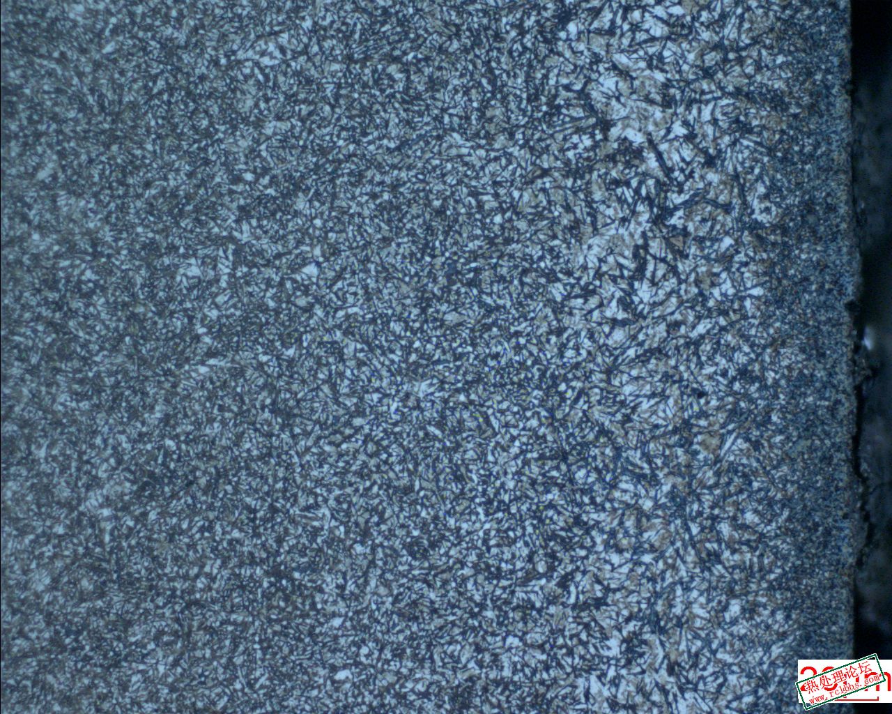 21093016170120432.jpg