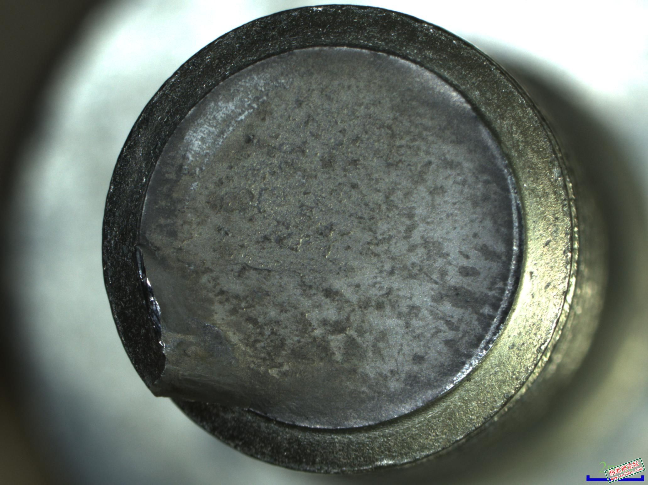 P010.jpg