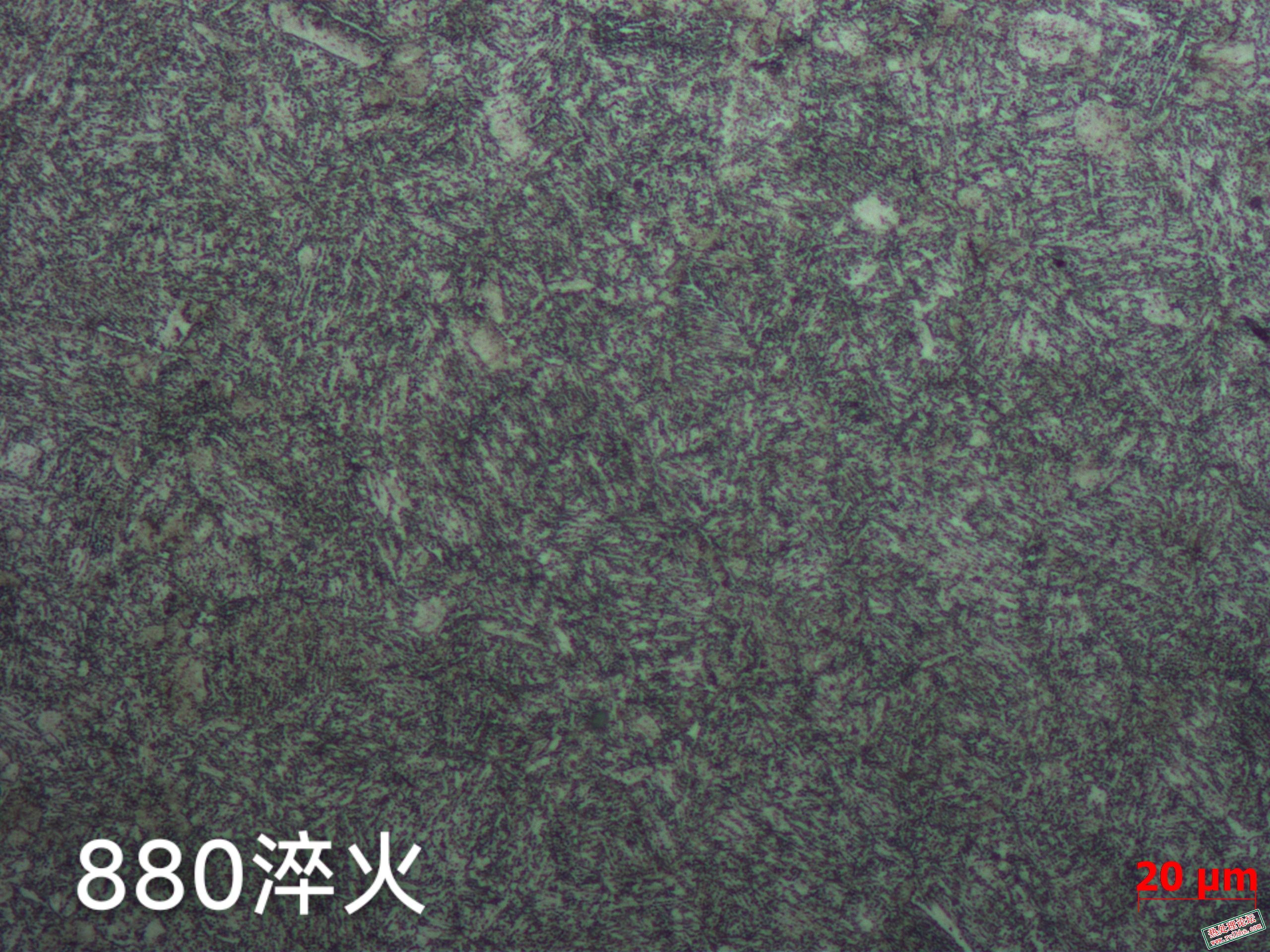 06690b0dbdc84f0cf2b29f5003562511_origin(1).jpg