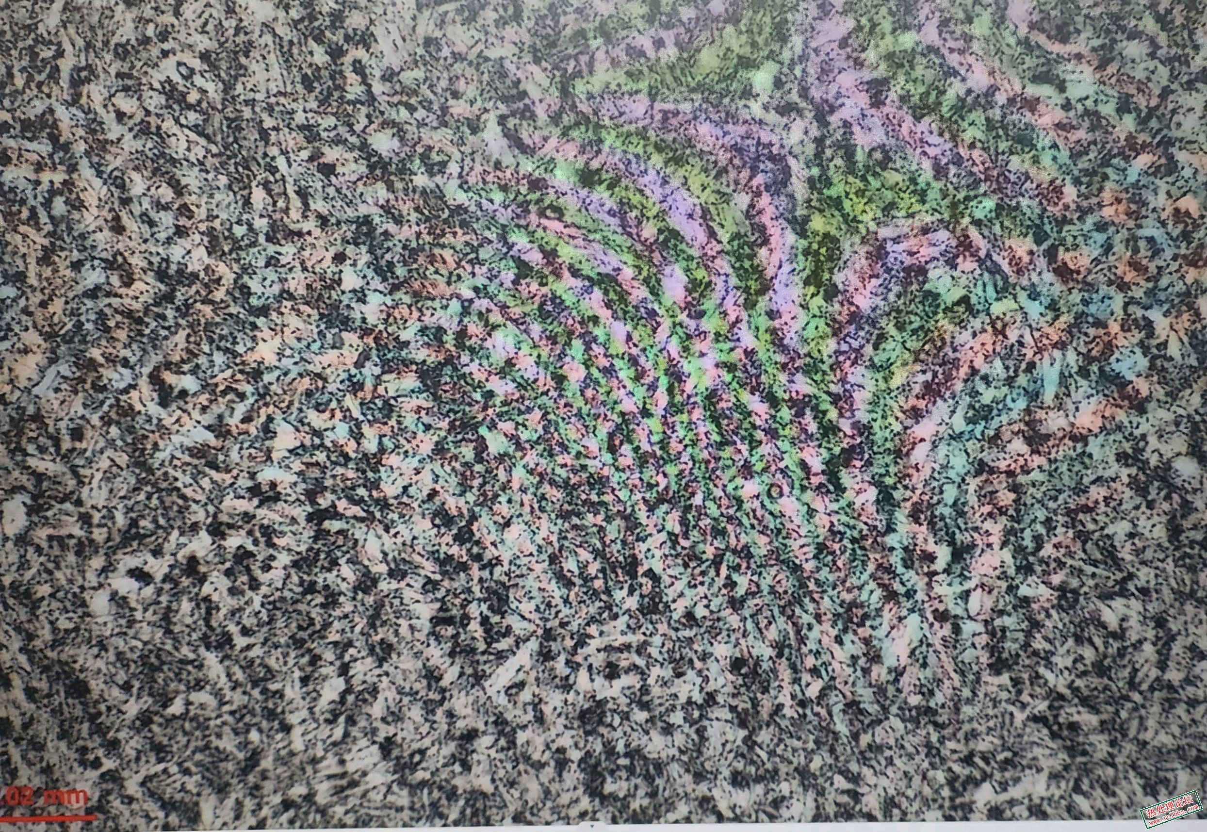 20251026_114644.jpg