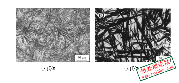 企业微信截图_17617308155654.png