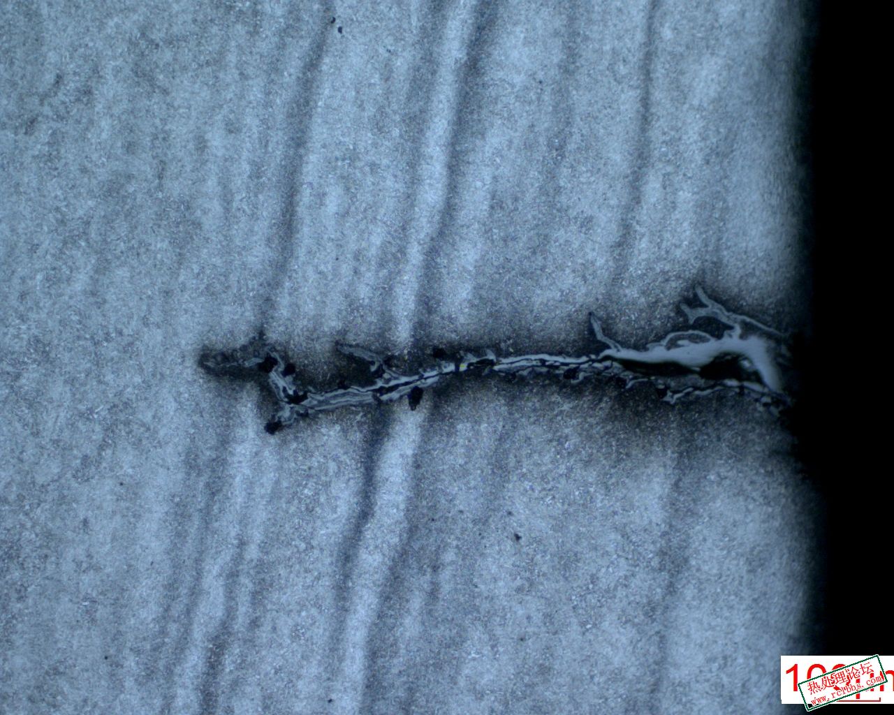 22050614131413418.jpg