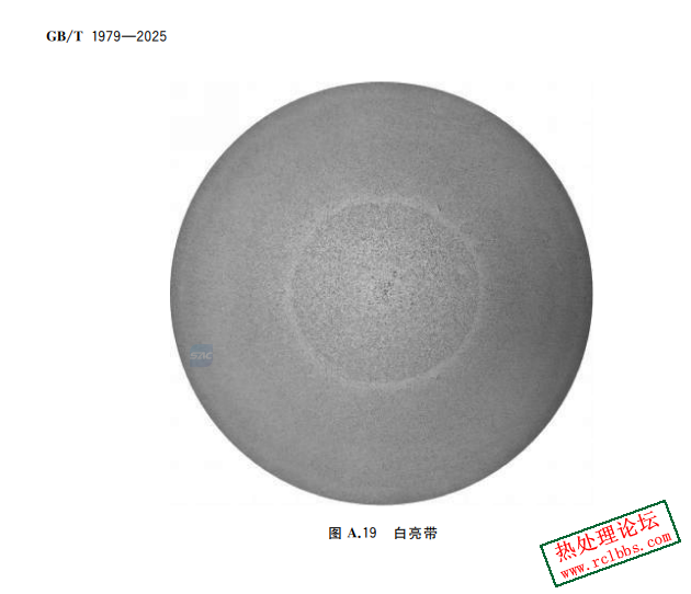 白亮带.png