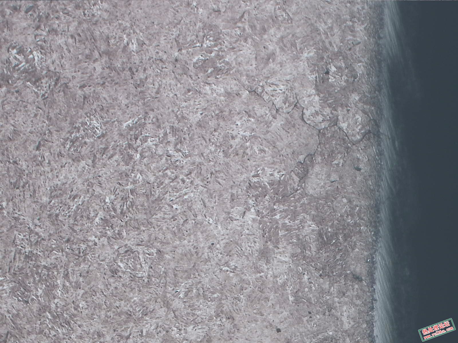 中频-100X-2.jpg