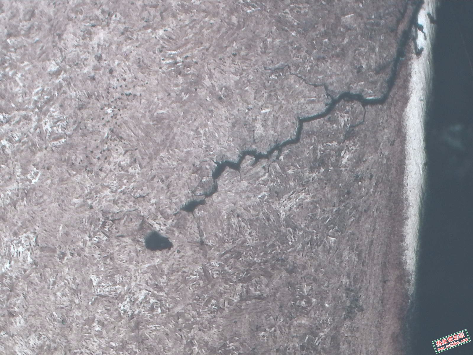 中频-100X-3.jpg