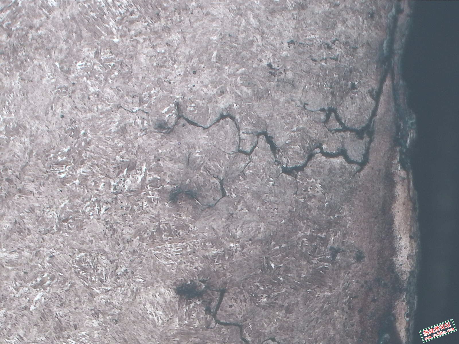 中频-100X-4.jpg