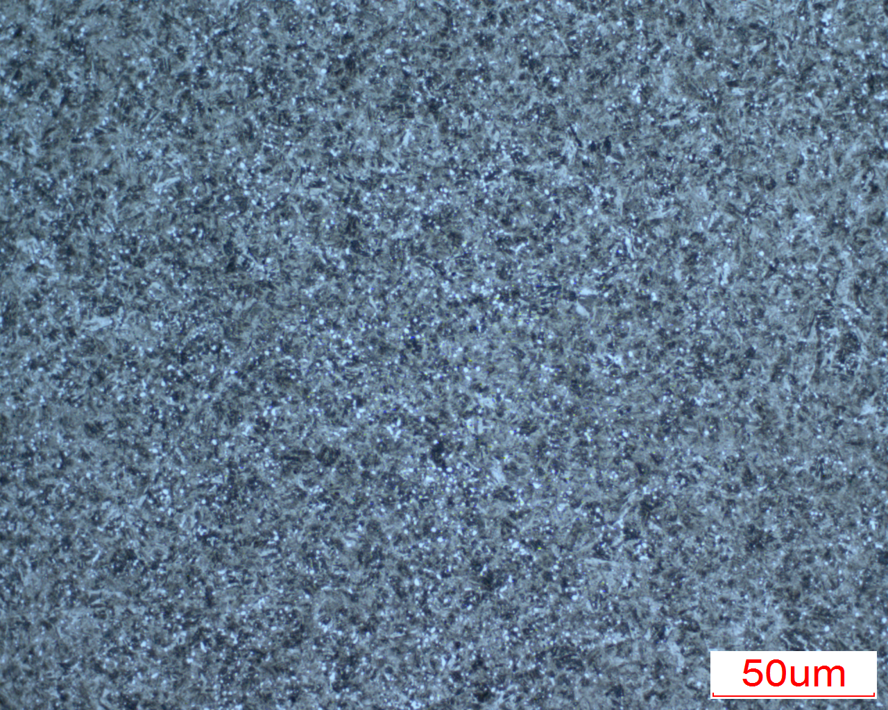2009301517572937172l23350.bmp