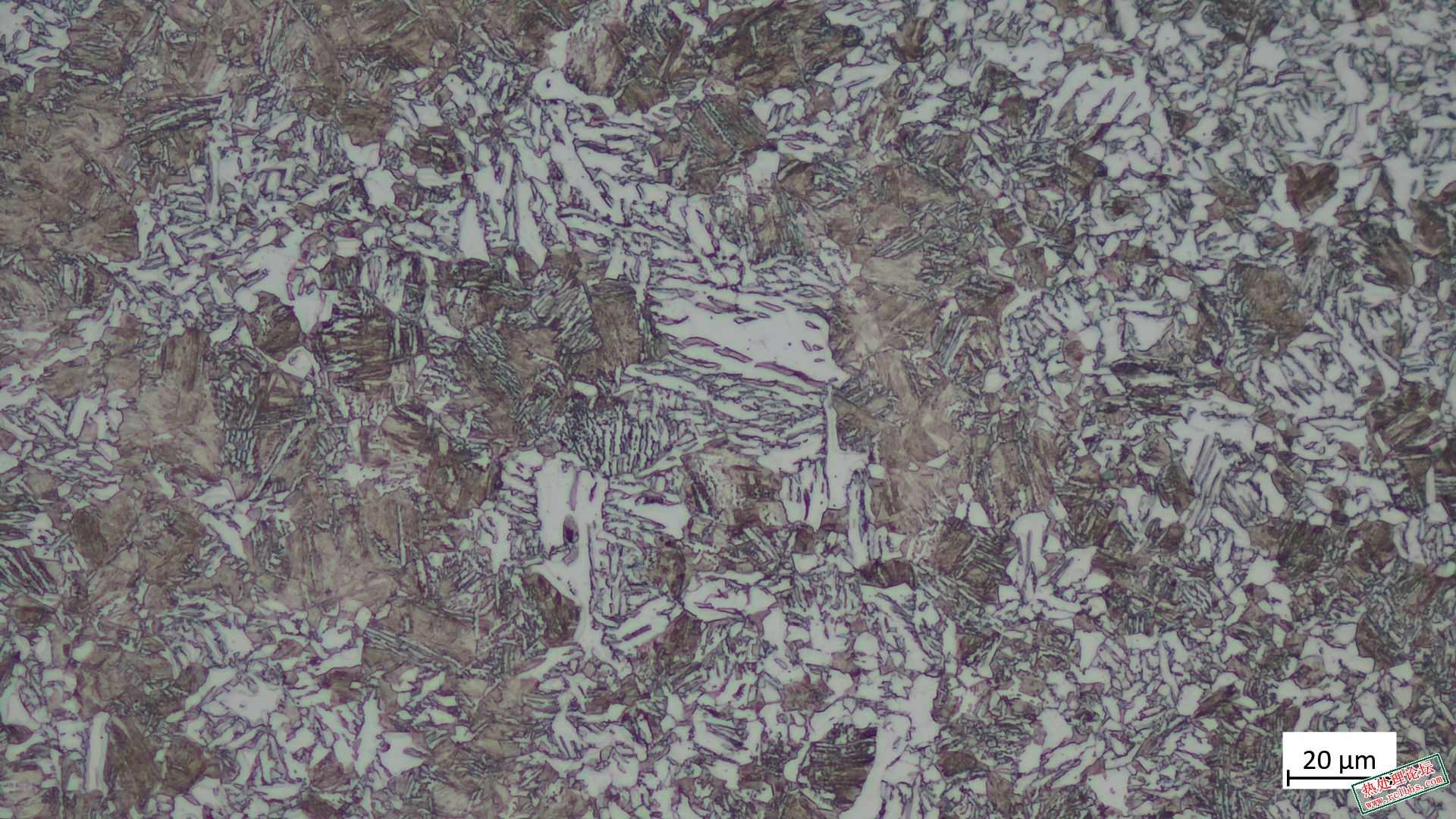 183-500X.jpg