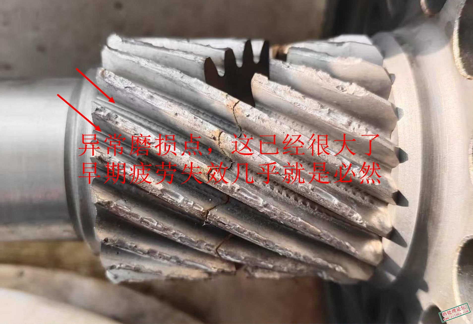 啮合齿轮2.jpg