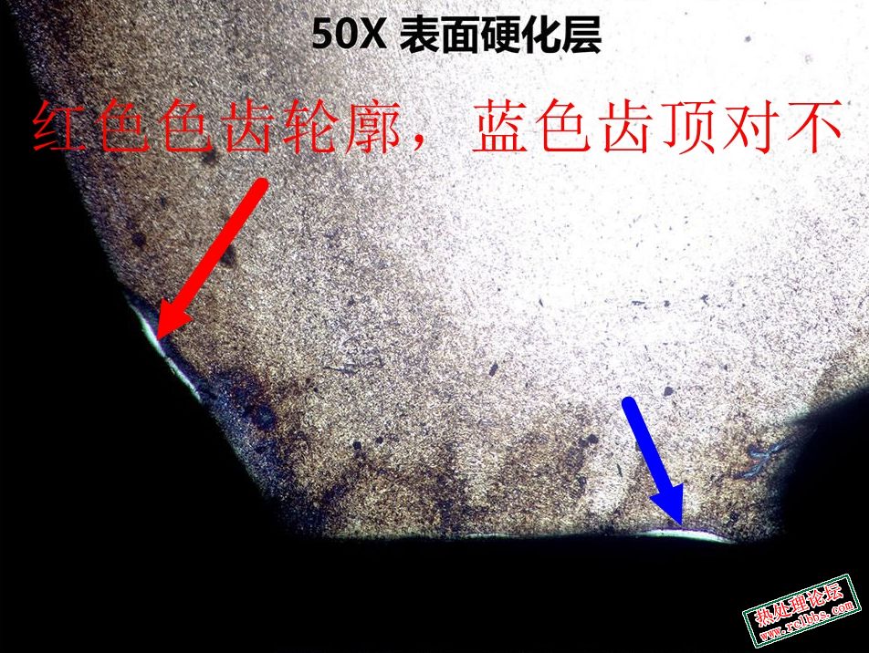 啮合齿轮3.jpg