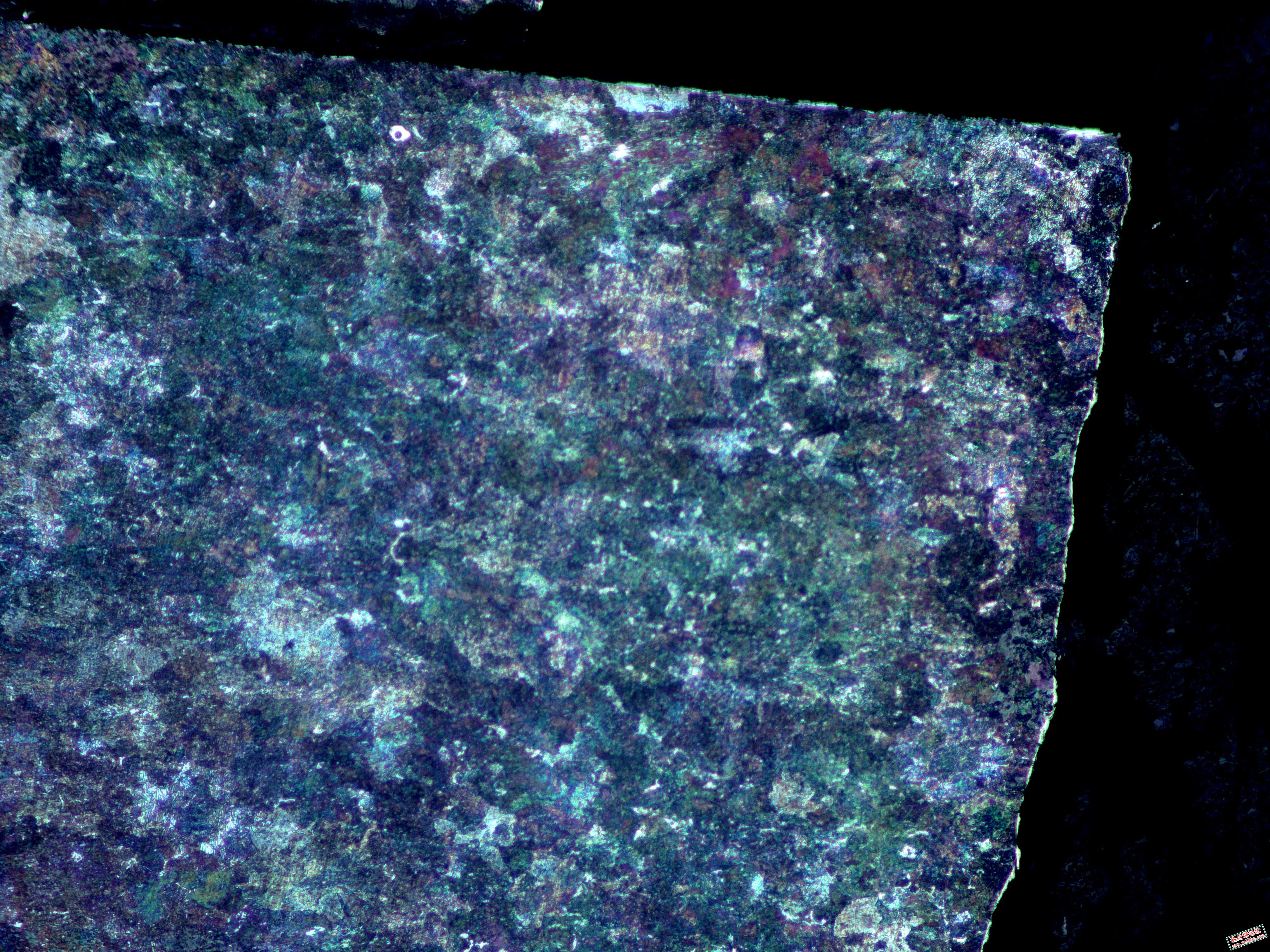 65Mno.100X.jpg