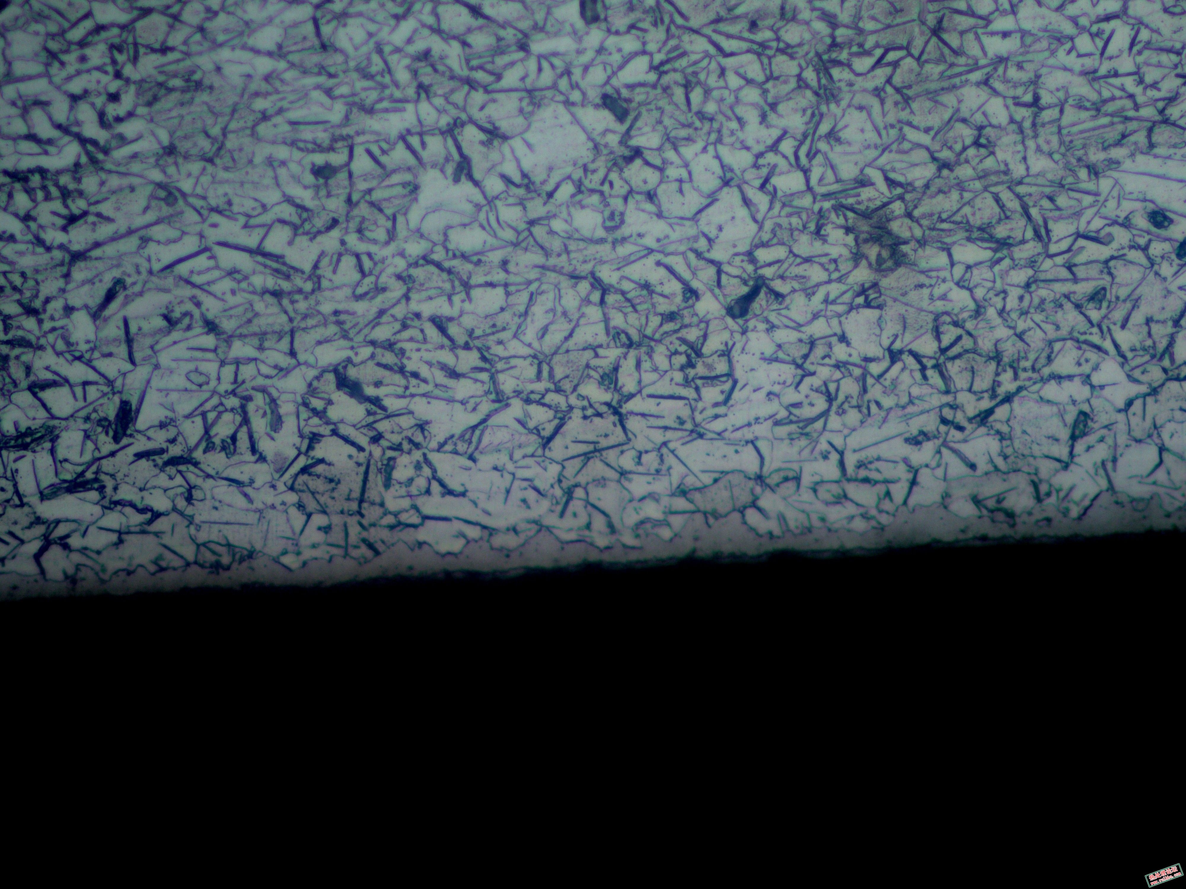 y!08o.500X.jpg