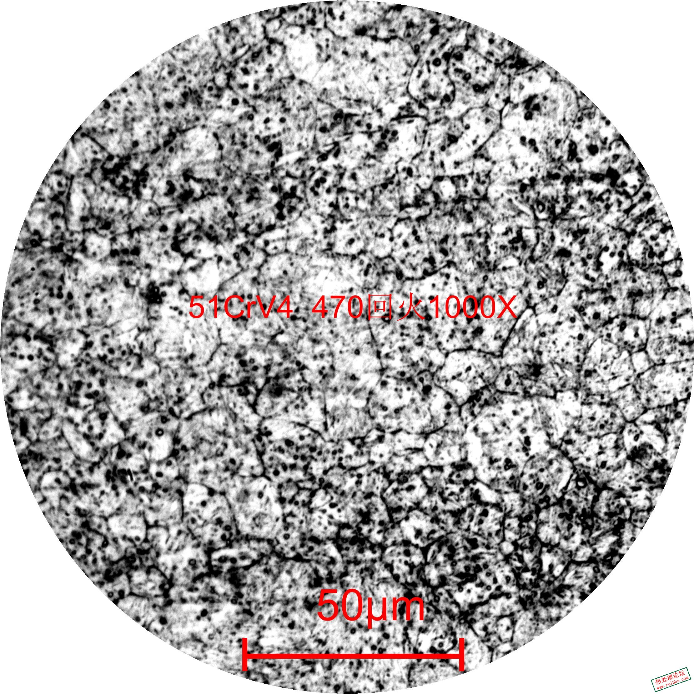 mmexport1735823135491.jpg