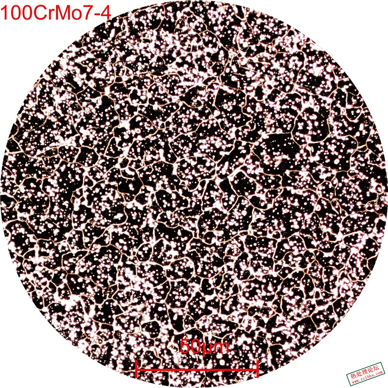 mmexport1735458689721.jpg