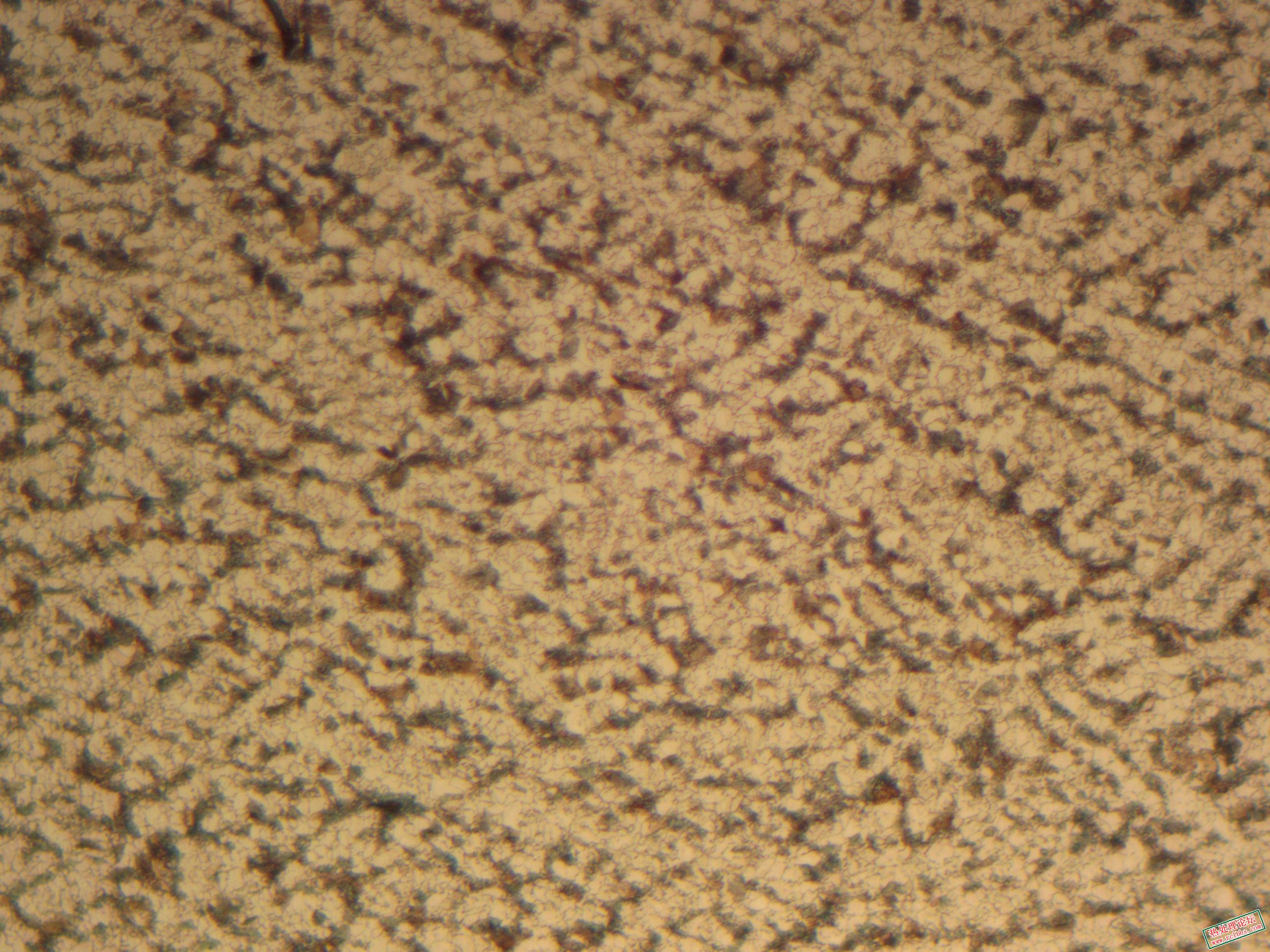 26.1.23 鸣河 18CRNIMO7-6 100X.jpg