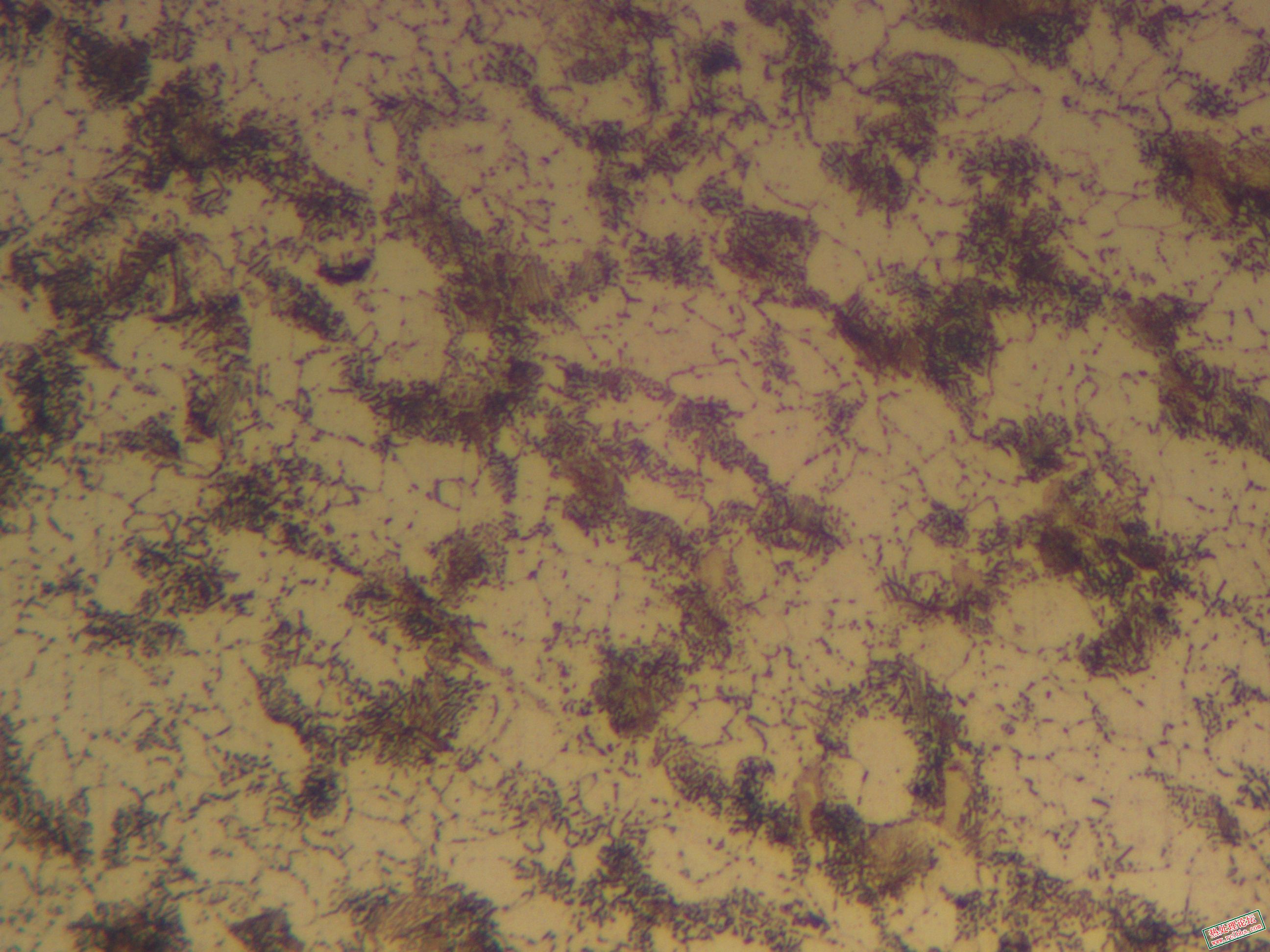 26.1.23 鸣河 18CRNIMO7-6 400X.jpg