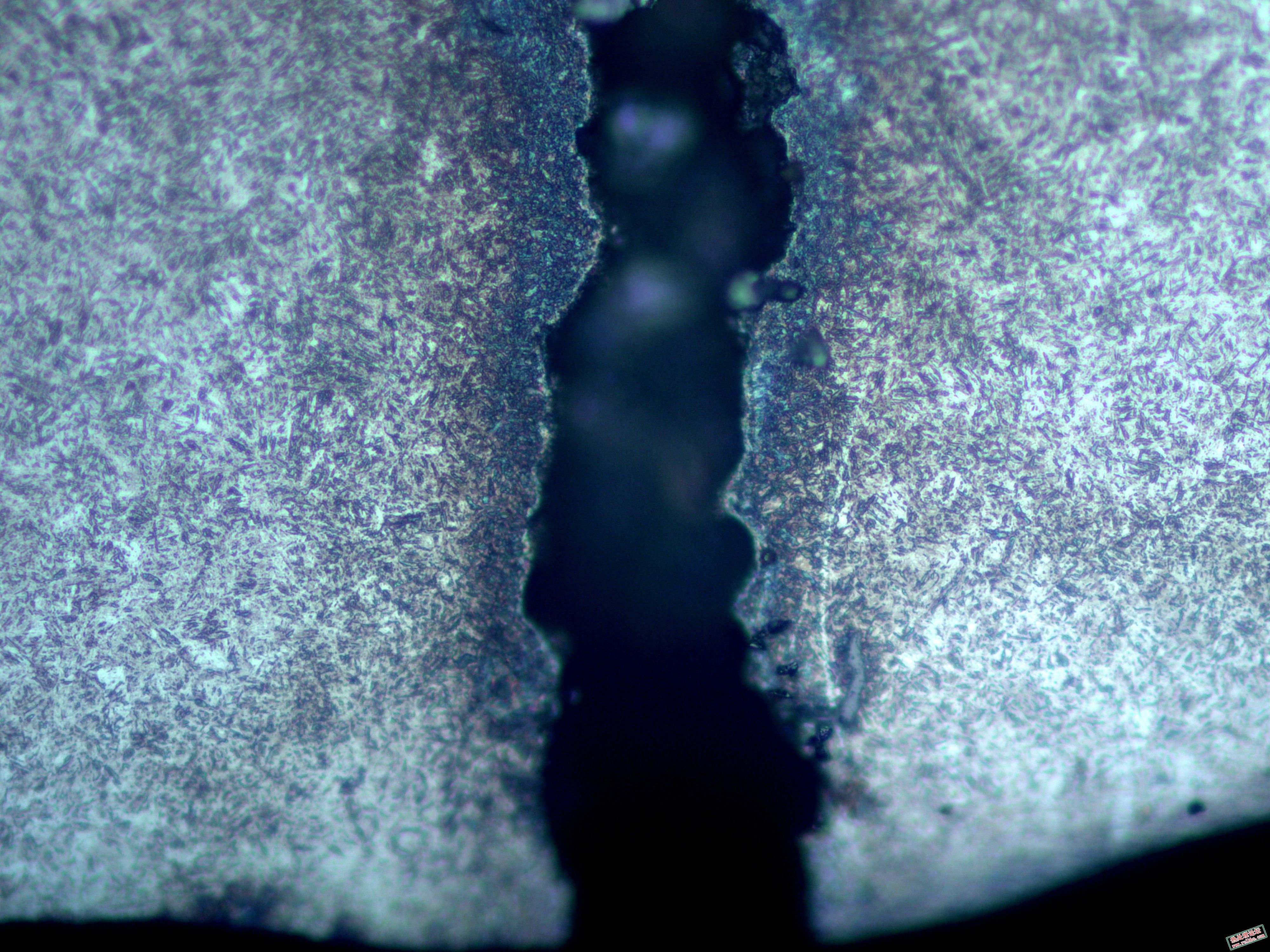 裂纹已腐蚀400X1.jpg